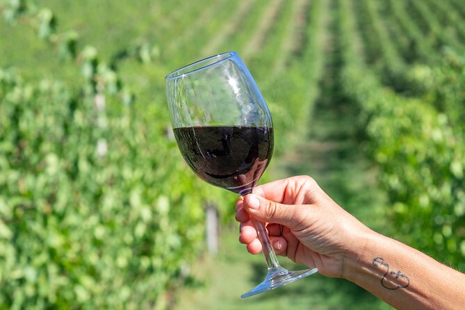 Private Tastings at the Colombina Agricultural Company - Tour Overview
