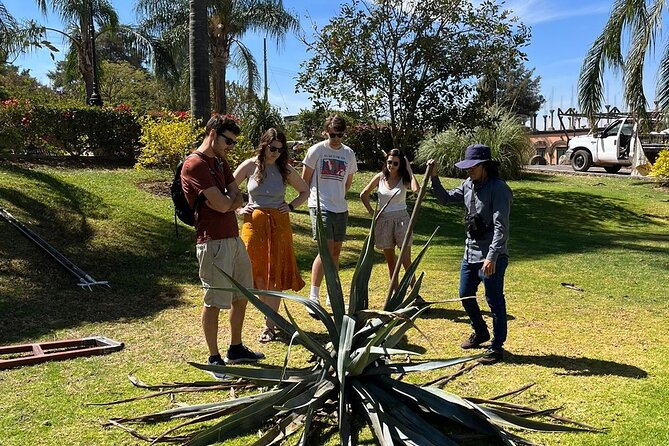 Private Tequila Tour With Local Expert - Expert Guides