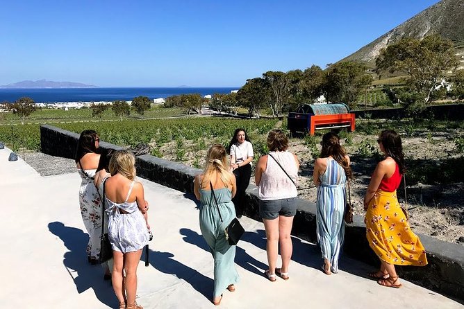Private Top Customized Santorini Attractions 5 Hours - Traveler Experiences