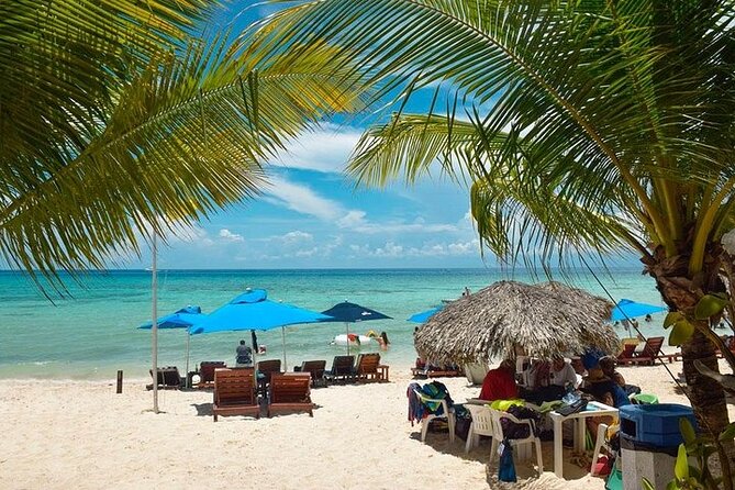 Private Tour: 5-Hour Cozumel Sightseeing With Private Driver and Tequila Tasting - Customer Reviews and Experiences