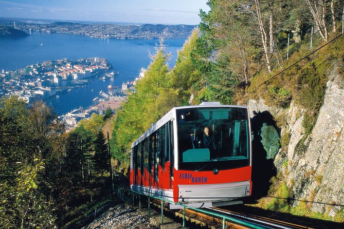 PRIVATE Tour: Bergen City Sightseeing, 5 Hours - Tour Duration and Flexibility