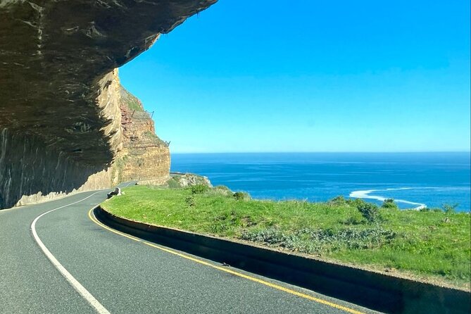 Private Tour: Cape of Good Hope, Cape Point and Boulders Beach - Customizing the Itinerary