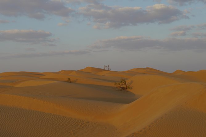 Private Tour - Empty Quarter Desert Adventure - Wadi Dawka + Ubar - Exploring Wadi Dawka