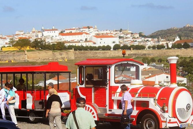 Private Tour: Evora, Elvas and Badajoz (Spain) Day Trip From Lisbon - Health and Safety