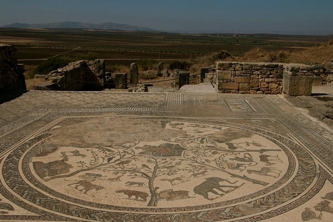 Private Tour From Fez: Meknès and Roman Ruins of Volubilis - Discovering Volubilis