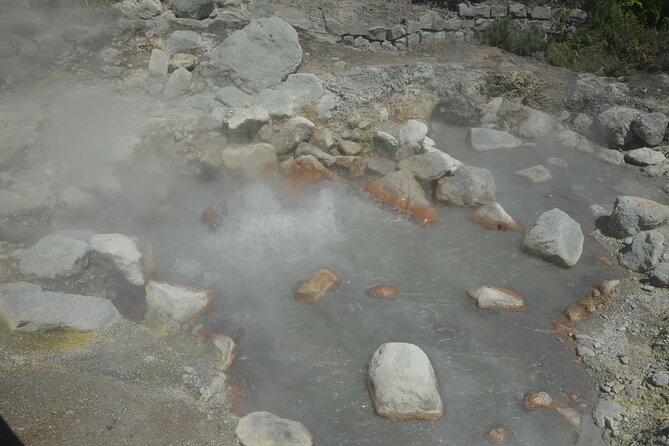 Private Tour Full-Day Furnas: Lake, Fumaroles and Thermal Pools - Reviews