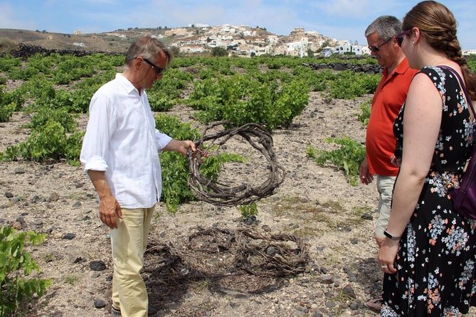 Private Tour: Great Wines and Famous Towns of Santorini - Castle and Windmills