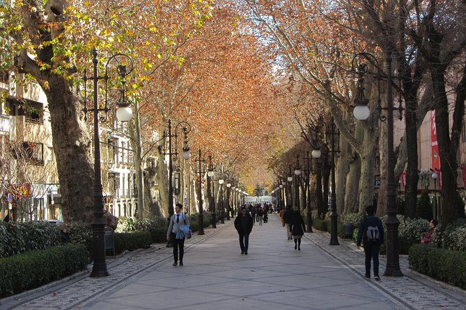 Private Tour of Central Granada. Total per Group Max 15 People - Included Experiences