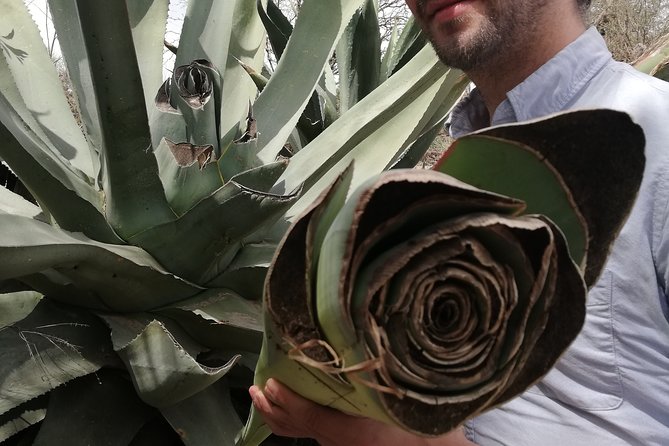 Private Tour of the Mezcal Route With Ancestral Drinks - Booking and Cancellation Policy