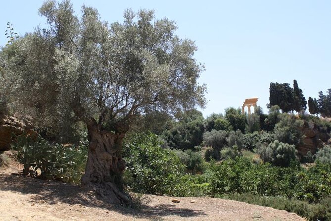 Private Tour of the Valley of the Temples & Kolymbethra in Sicily - Frequently Asked Questions