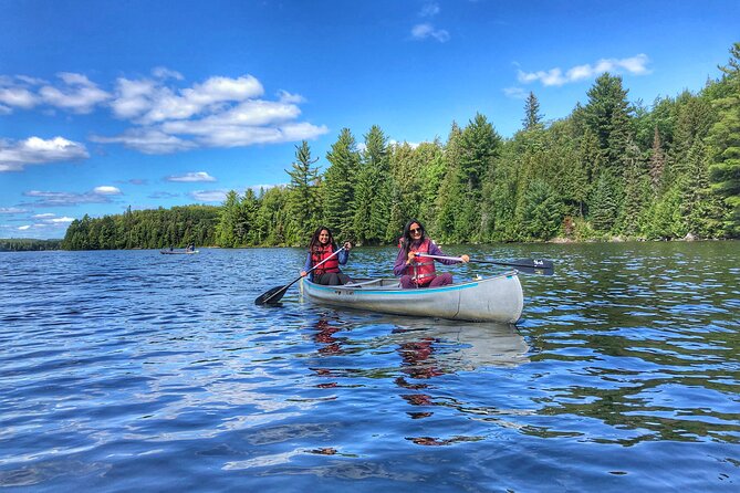 Private Tour or Private Transportation From Toronto Anywhere - Tour Pricing