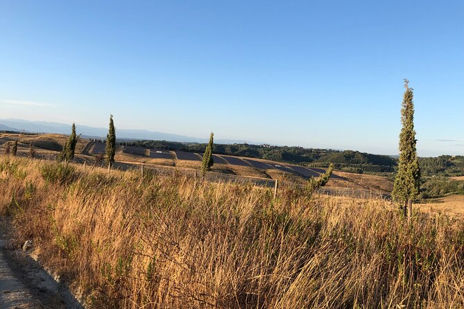 Private Tour Pisa, Countryside With Wine Tasting - Pricing and Booking