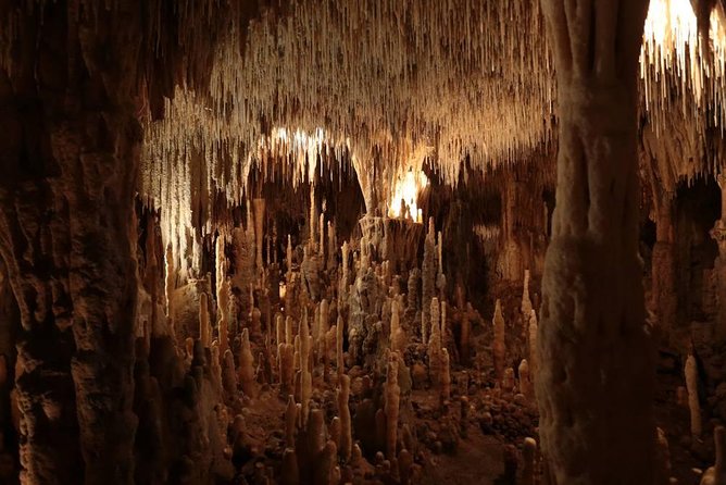 Private Tour : Prehistoric Cave and Castle by EXPLOREO SARLAT - Traveler Reviews and Feedback