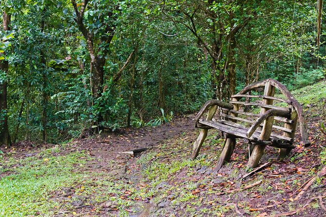 Private Tour St. Lucia Botanical Gardens and Waterfall - Frequently Asked Questions