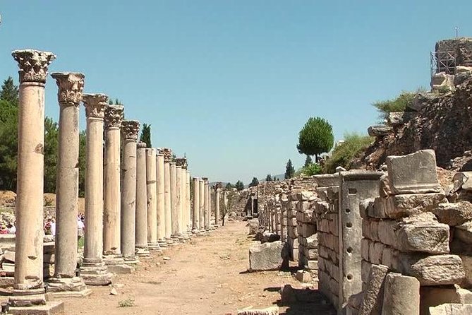 Private Tour to Ephesus, Selcuk Museum, House of Virgin Mary, Temple of Artemis - Dietary Options