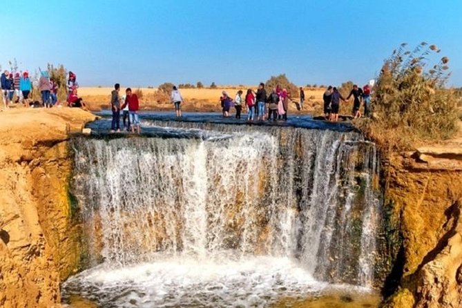 Private Tour to Fayoum Oasis, Valley of the Whales & Wadi Al Rian From Cairo. - Whats Included in the Tour