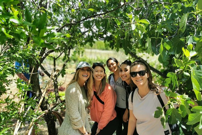 Private Tour to Krka Waterfalls- Lunch Included - Traveler Photos and Reviews