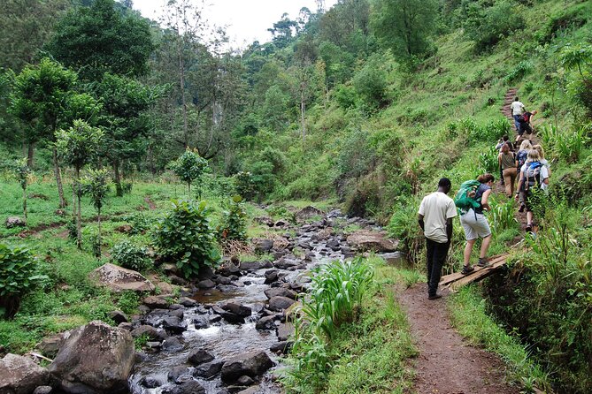Private Tour to Materuni Waterfalls, Coffee Tour, Kikuletwa Hot Springs & Maasai - Accessibility Features