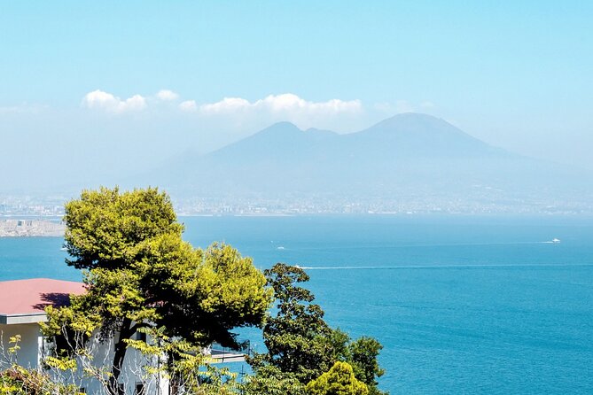 Private Tour to Naples From Sorrento With Pick up and Drop off - Customer Reviews