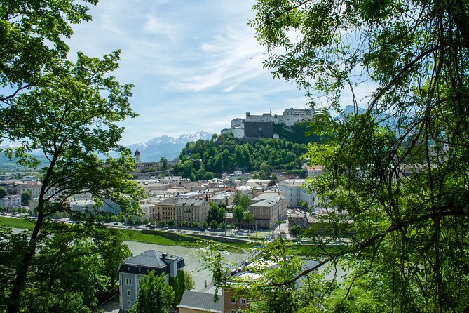 Private Tour to Salzburg for River Cruise Passengers - Passau or Linz - Customizable Itinerary Options