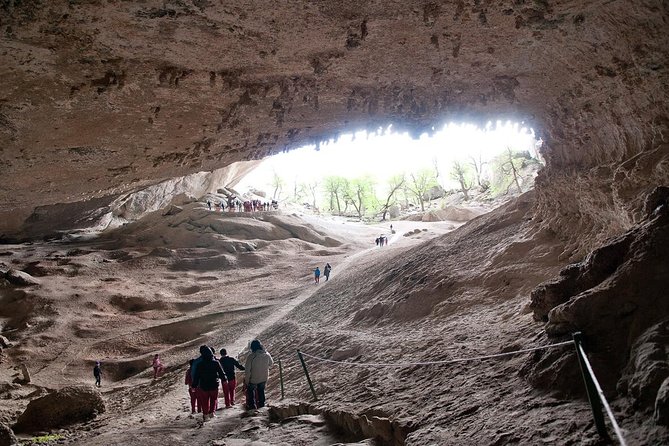 Private Tour: Torres Del Paine National Park and Milodon Cave With Lunch - Pricing and Reviews