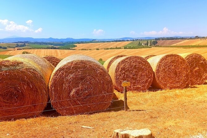 PRIVATE TRANSFER From Siena to Florence With Stop in S Gimignano & Monteriggioni - Tour Highlights