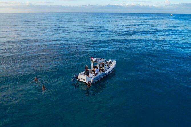 Private Turtle Snorkel & Cruise Waikiki - Pricing and Booking