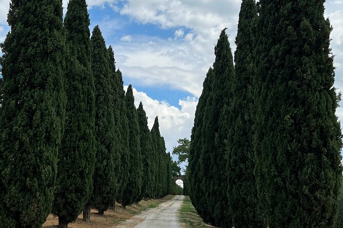 Private Tuscan Tour With Love - Since You Asked
