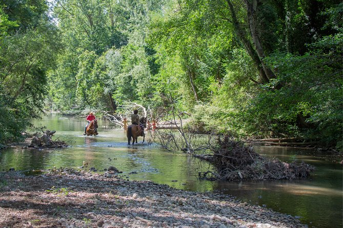 Private Tuscany Horseback Ride - Safety and Insurance