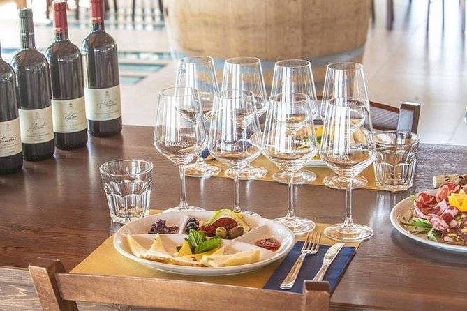 Private Visit to the Cellars of Etna With Wine Tasting - Etna Volcanic Landscape