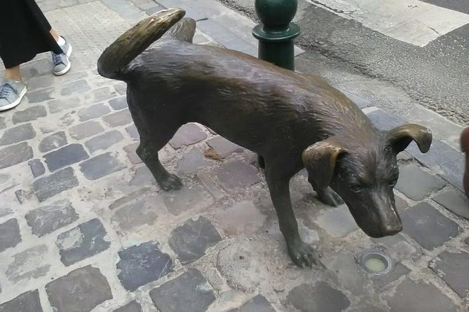 Private Walking Tour : Brussels Historical City Center Half Day - Personalized Experience