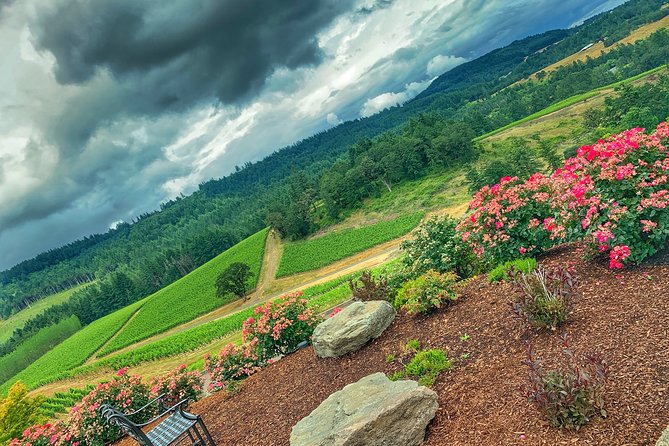Private Willamette Valley Wine Tasting Tour-Tasting Fees Included - Pricing and Booking