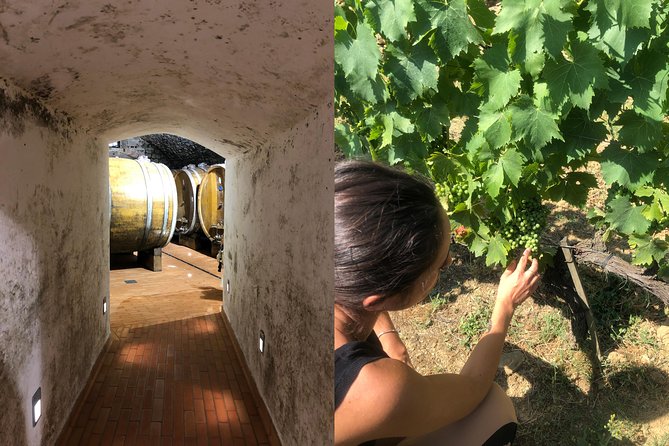 Private Wine Tour of Chianti - Personalized Tour Experience