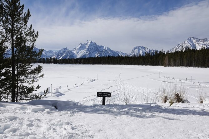 Private Winter Tour of Grand Teton National Park & Sleigh Ride - Wildlife Viewing Opportunities