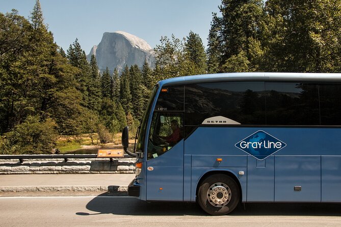 Private Yosemite National Park Day Trip From San Francisco - Activity Options in Yosemite