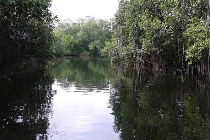 Private YS Falls and Black River Safari From Runaway Bay - Activity Description: YS Falls