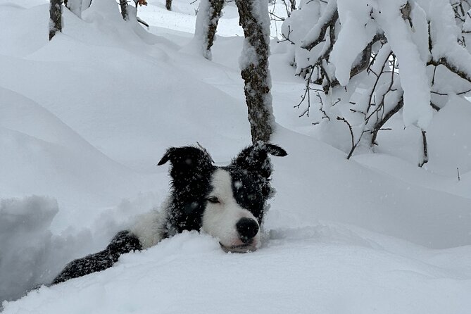 Privately Guided Snowshoe Experience - Pricing and Cancellation Policy