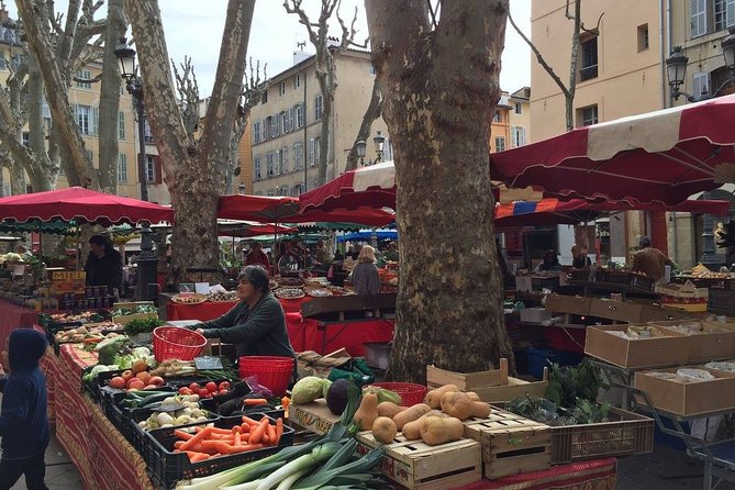 Provence Full Day Private Tour With Professional Guide From Marseille - Customize Your Provence Adventure