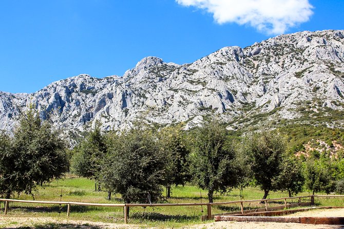 Provence - Mont Sainte Victoire in Search of Cézanne Private Wine Tour - Winery Visits and Tastings
