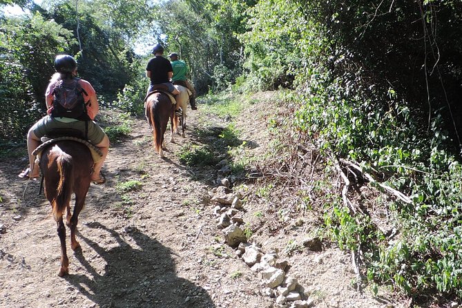 Puerto Plata: Wild & Eco Adventure - Highlights and Photos