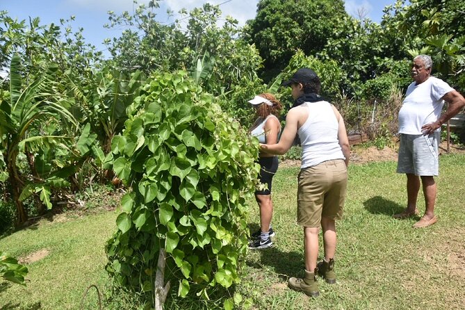 Puerto Rico Agritourism Tour - Explore Agritourism Destinations