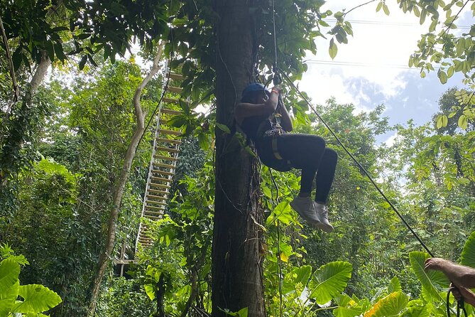 Puerto Rico Rainforest Adventure Trail Trio - Hiking the Adventure Trail