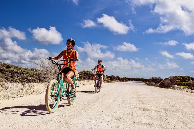 Punta Sur Eco Beach Park Electric Bike Tour in Cozumel - Customer Feedback and Recommendations