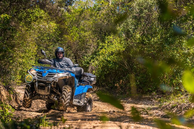 Quad Excursion in the Maremma With Barbecue in the Woods - Reviews Summary