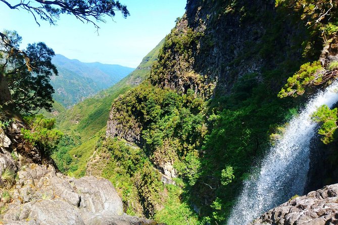 Rabaçal - Levada of the 25 Sources - Traveler Feedback and Experiences