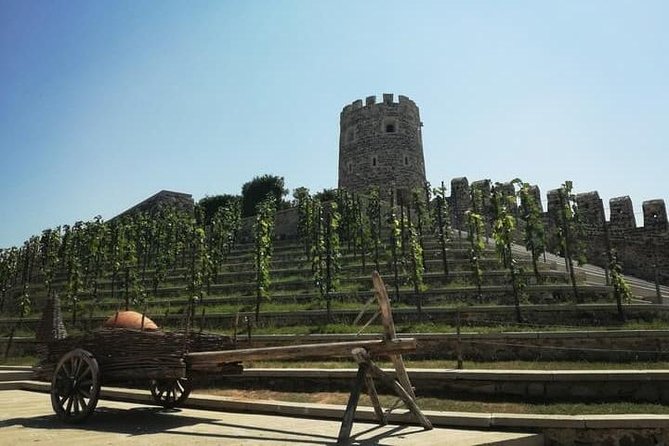Rabati-Borjomi Private Day Tour - Booking and Cancellation Policy