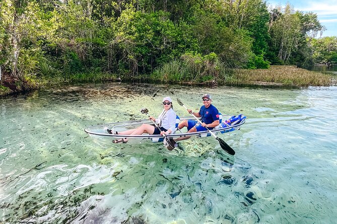 Rainbow Springs: Clear Kayak & Snorkel Eco Tour - Highlights From Guest Reviews