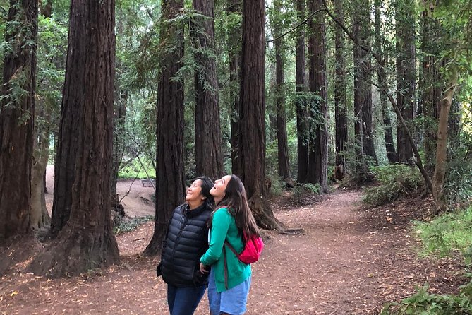 Redwoods of Marin and Mt. Tamalpais Walking Tour With Local Guide - Physical Requirements