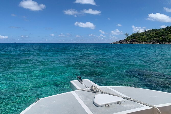 Reef Safari - Snorkeling, Fish Feeding & Lunch (Shared Day Trip) - Confirmation and Accessibility