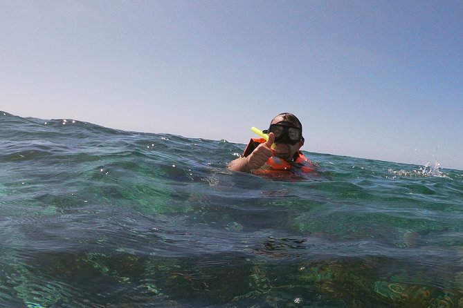 Reef Snorkel In National Park In Puerto Morelos With Lunch And Transportation - Lunch and Post-Snorkeling Activities
